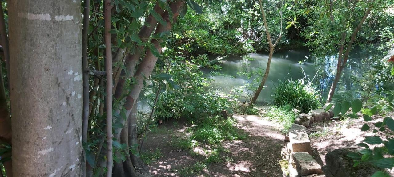 Au Bord De L'Alzon Apartment Uzes Ngoại thất bức ảnh