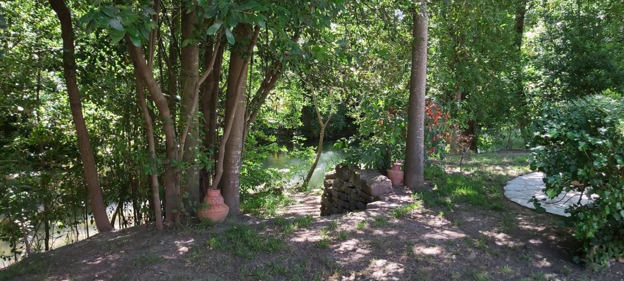 Au Bord De L'Alzon Apartment Uzes Ngoại thất bức ảnh