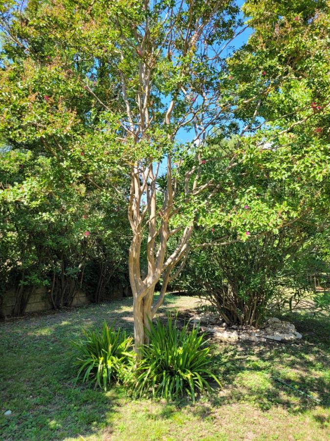 Au Bord De L'Alzon Apartment Uzes Ngoại thất bức ảnh